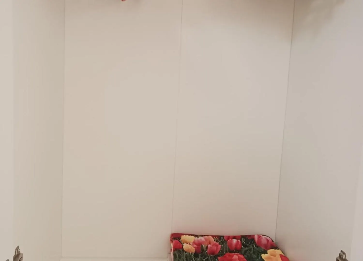 Affittacamere Il Conte 福洛尼卡