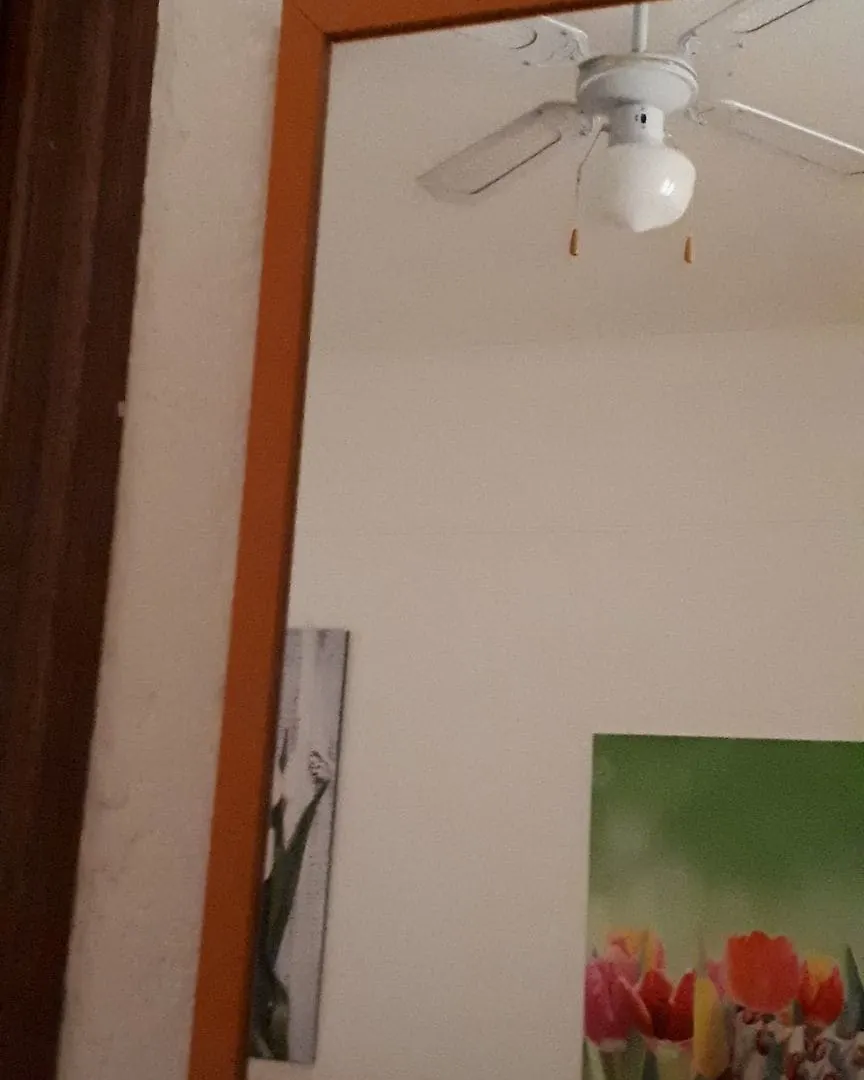 Affittacamere Il Conte 福洛尼卡 0*,  意大利
